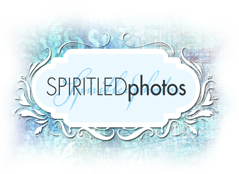 Spirit Led Photos – Unique images from Fort Lauderdale area photographer Kelly Galiszewski.